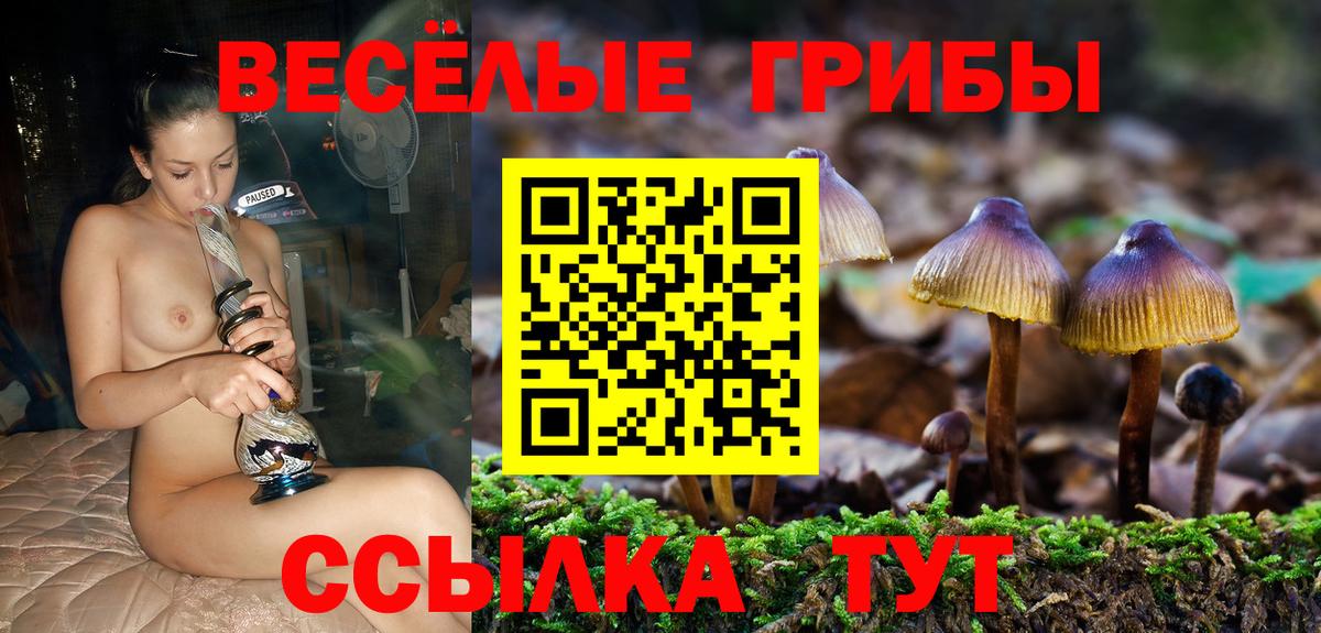 Псилоцибиновые грибы мухоморы Новокубанск