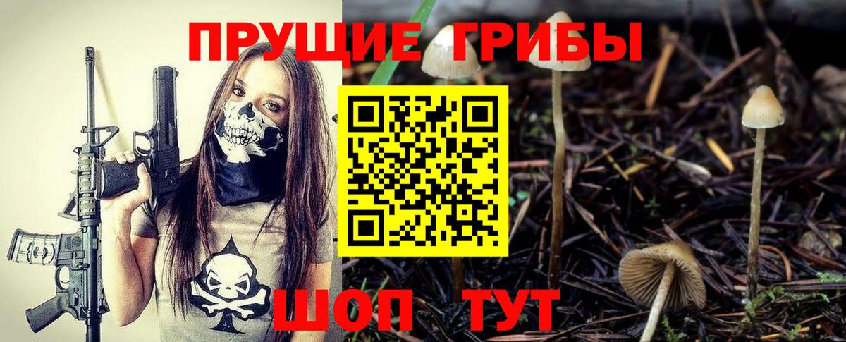 Новокубанск  Галлюциногенные грибы MAGIC MUSHROOMS  Вход с VPN 